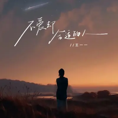 不爱却合适的人封面