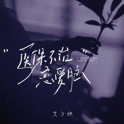 医保不治恋爱脑封面