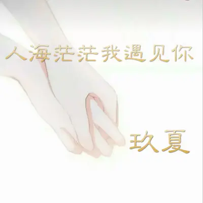 相识相知相爱 - 玖夏封面
