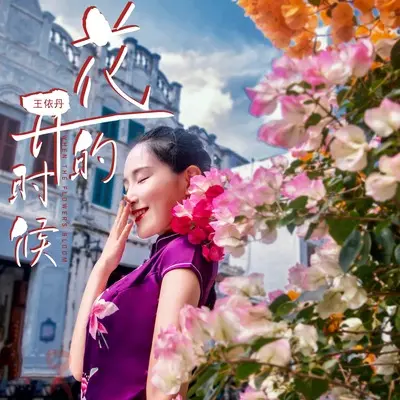 花开的时候封面