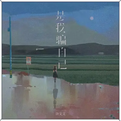 是我骗自己封面