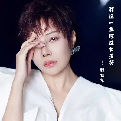 我这一生吃过太多苦(女烟嗓版)(女烟嗓版)封面