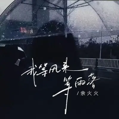 我等风来等雨落(1.2X)(1.2X)封面