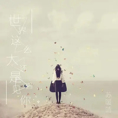 世界这么大还是遇见你（原版伴奏） - 苏暖晴封面