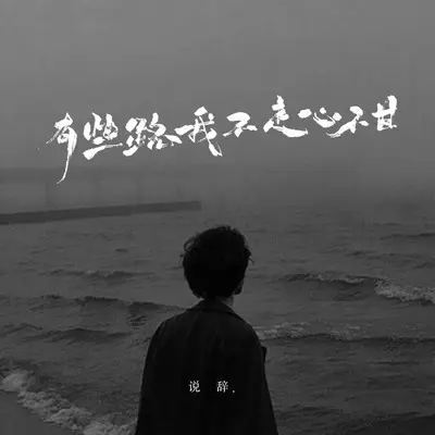 有些路我不走心不甘(深情版)(深情版)封面