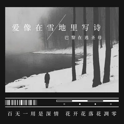 爱像在雪地里写诗(伴奏) - 巴黎在逃圣母封面
