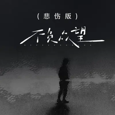 不负众望(悲伤版)(悲伤版) - 王沄宏封面