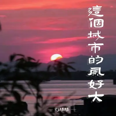 这个城市的风好大（这些年我过得还好吗）(伴奏) - 刘阳阳封面