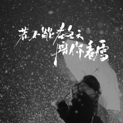 若不能在冬天陪你看雪封面