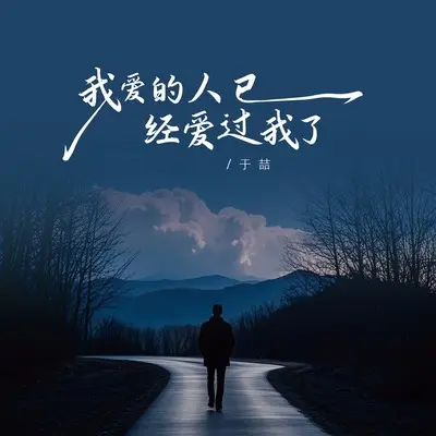 我爱的人已经爱过我了封面