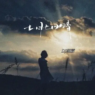 七月七日晴(DJ卡点版)(DJ卡点版)封面