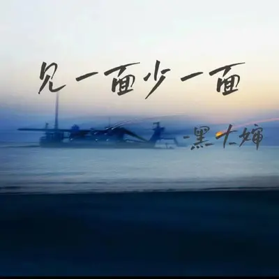 遗憾的相逢封面