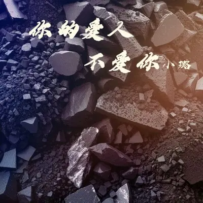 你的爱人不爱你(女版)(女版)封面