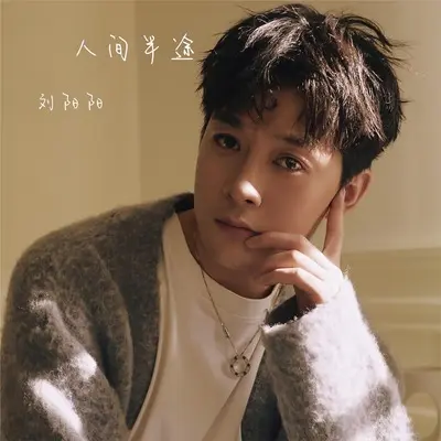 人间半途(DJ锋仔版)(DJ锋仔版)封面