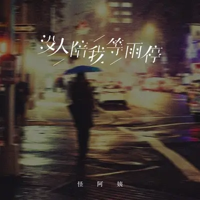 没人陪我等雨停封面