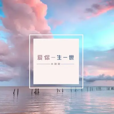 爱你一生一世封面