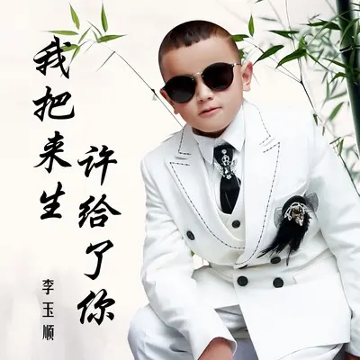 我把来生许给了你(盲童版)(盲童版)封面