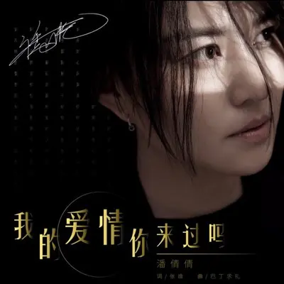 我的爱情你来过吗(伴奏)封面