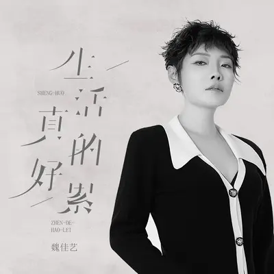 生活真的好累(DJ何友版)(DJ何友版)封面