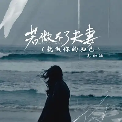 若做不了夫妻(DJ阿能版)(DJ阿能版)封面