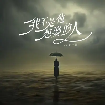 我不是他想娶的人 - 王一佳封面