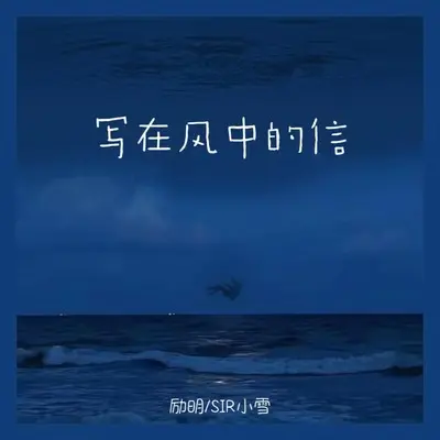 写在风中的信（海誓山盟）封面