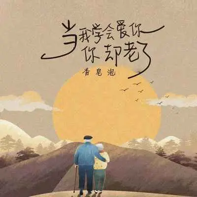 当我学会爱你,你却老了封面