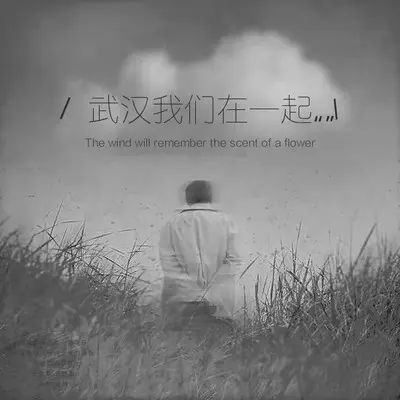 武汉我们在一起封面
