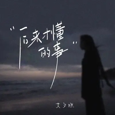 后来才懂的事封面
