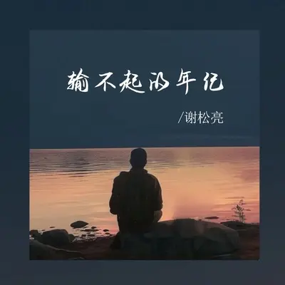 输不起的年纪(DJ阿本版)(DJ阿本版)封面