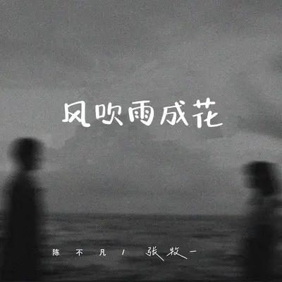风吹雨成花(时间煮雨说唱版)(时间煮雨说唱版)封面
