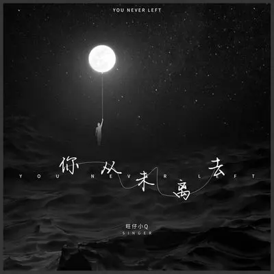 你从未离去(女生版)(女生版)封面