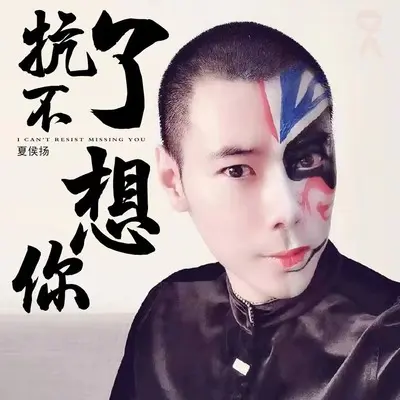 扛不了想你封面