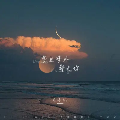 梦里梦外都是你(女声版)(女声版)封面