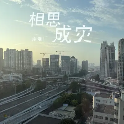 相思成灾封面