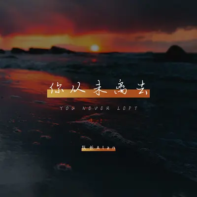你从未离去(烟嗓版伴奏)封面