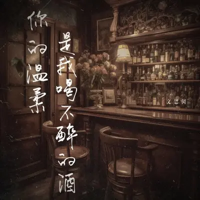 你的温柔是我喝不醉的酒 - 文思闵封面