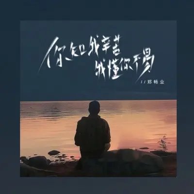 你知我辛苦我懂你不易(伴奏)封面