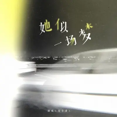 她似一场梦(伴奏) - 潘成（皮卡潘）封面