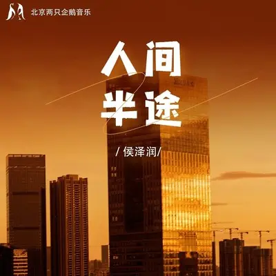 人间半途(DJWH版)封面