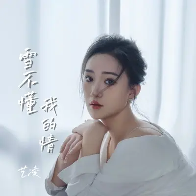 雪不懂我的情(DJ版伴奏)封面