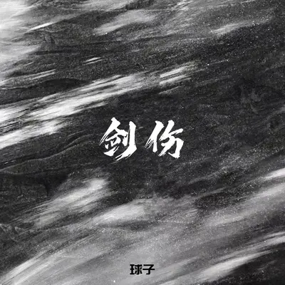 剑伤 - 球子封面