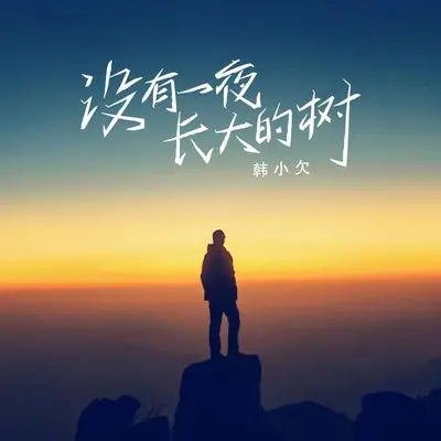 没有一夜长大的树封面