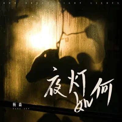 夜灯如河封面