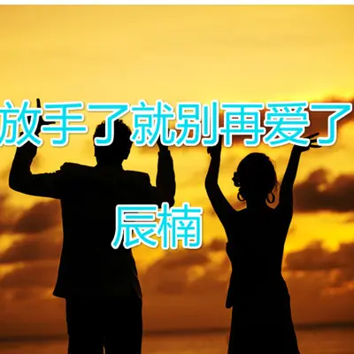 爱了就别走 - 辰楠封面
