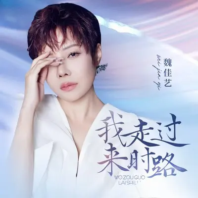 我走过来时路 - 魏佳艺封面