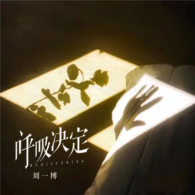 呼吸决定封面