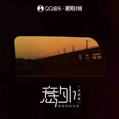 意外(小花版)(小花版)封面