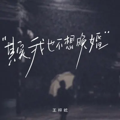 其实我也不想晚婚封面