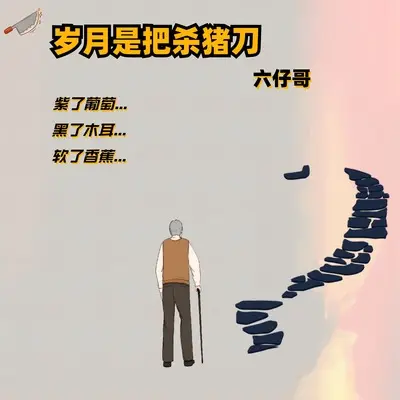 岁月是把杀猪刀 - 六仔哥封面